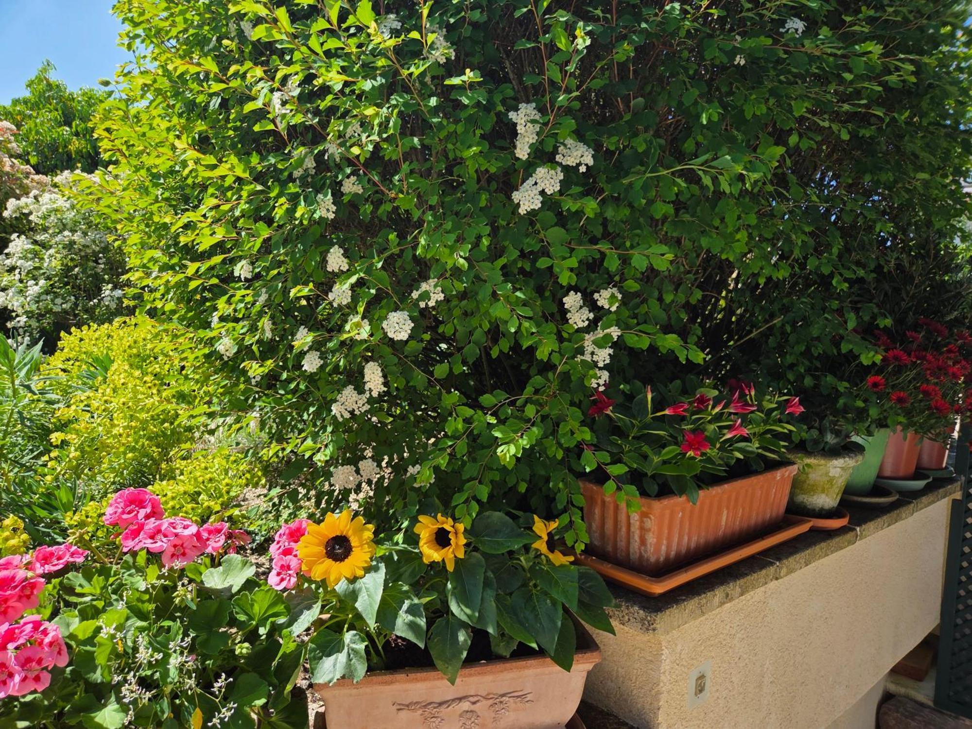 Vila Clair Logis Giverny Exteriér fotografie